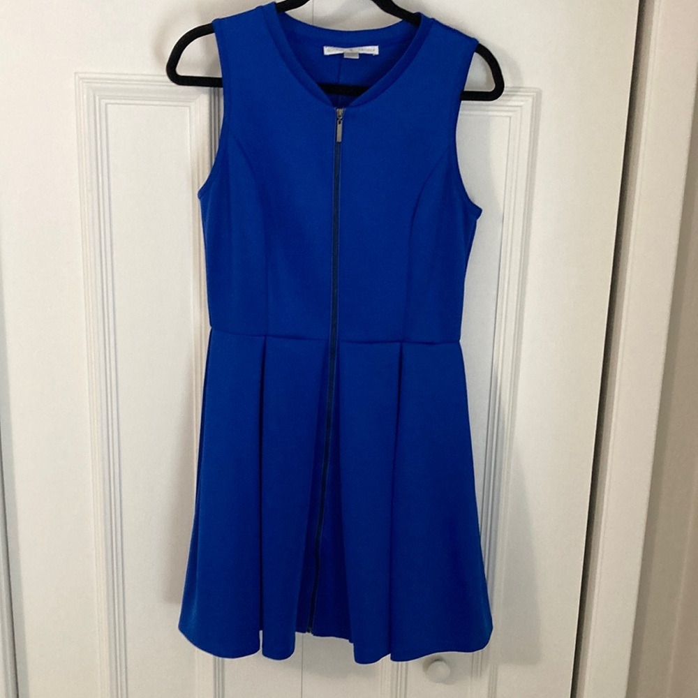Boston Proper Sleeveless Blue pleated, zip front women’s dress